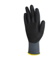2.02.10.570.00_palm_HR.png