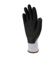 2011017000-palm-hr.png
