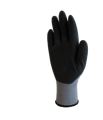 2.02.10.580.00_palm_HR.png