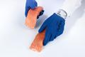 HyFlex-11-919-Blue-Product-Application-Image-EMEA1.jpg