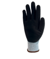 2011568800-palm-hr.png