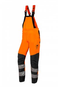 60060385rl-1rh1-183-sil.png
