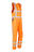 055V-FC1-SIR.jpg